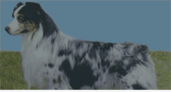 Desktop Screenshot of gefionhall.com